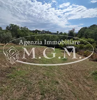 Foto annuncio 32