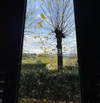 Foto annuncio 29