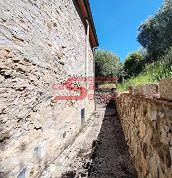 Foto annuncio 18