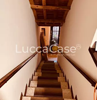 Foto annuncio 19