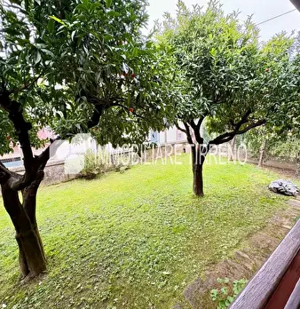 Foto annuncio 28