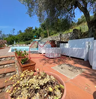 Foto annuncio 47