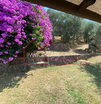 Foto annuncio 44