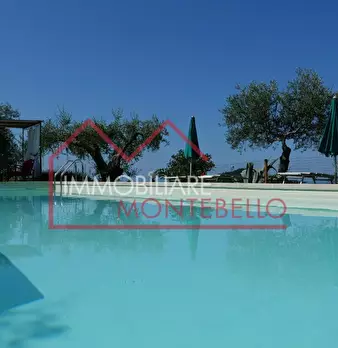 Foto annuncio 10