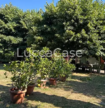 Foto annuncio 61