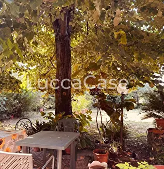 Foto annuncio 27