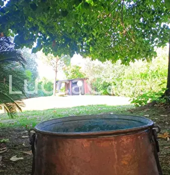 Foto annuncio 79
