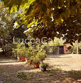 Foto annuncio 58
