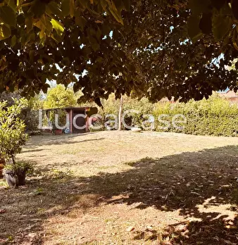 Foto annuncio 64