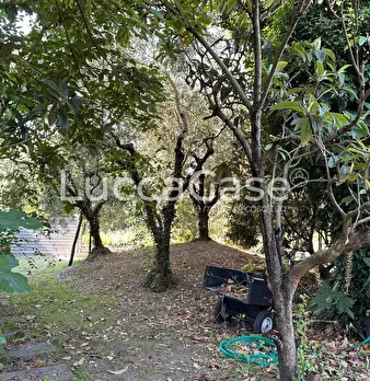 Foto annuncio 60