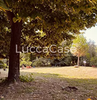 Foto annuncio 28