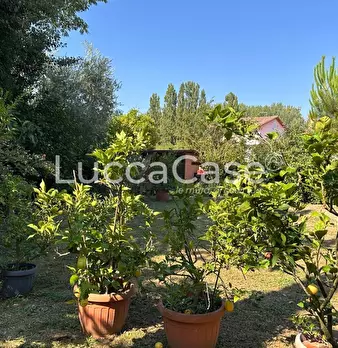 Foto annuncio 62