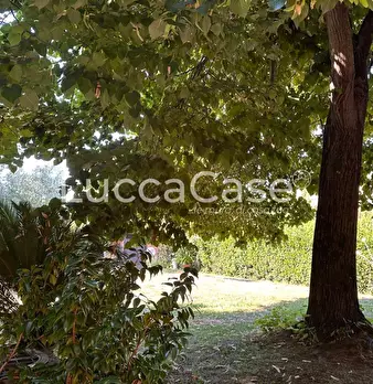 Foto annuncio 65