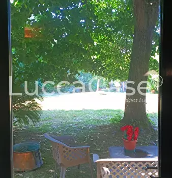 Foto annuncio 75