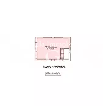 Foto annuncio 48