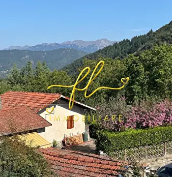 Foto annuncio 19