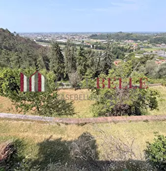 Foto annuncio 60