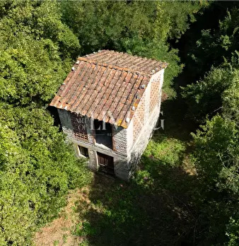 Foto annuncio 51