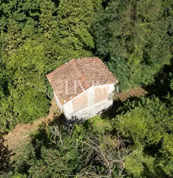 Foto annuncio 50