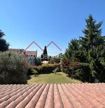 Foto annuncio 35