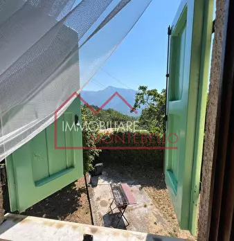 Foto annuncio 40
