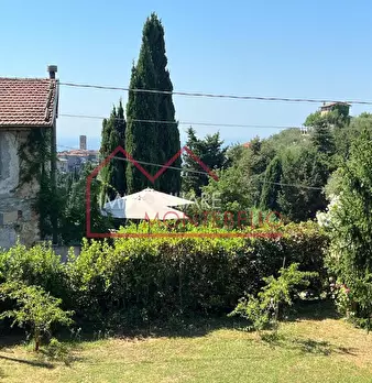 Foto annuncio 33