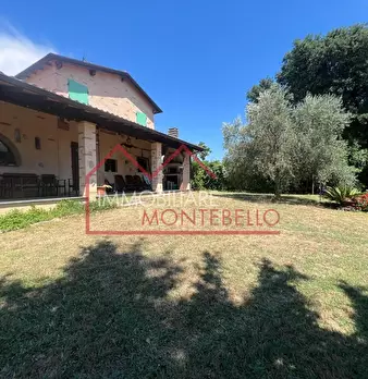 Foto annuncio 28