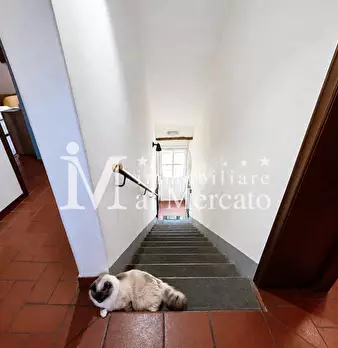 Foto annuncio 29