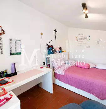 Foto annuncio 24