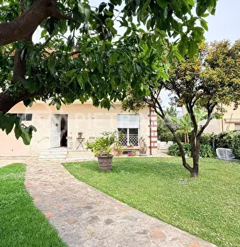 Foto annuncio 42