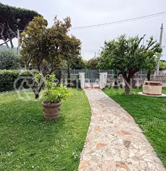 Foto annuncio 39