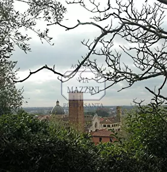 Foto annuncio 33