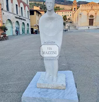 Foto annuncio 22