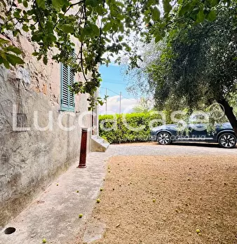 Foto annuncio 11
