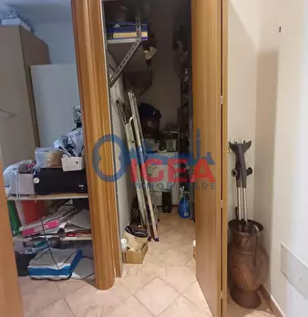 Foto annuncio 19