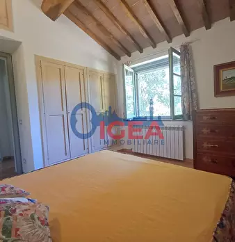 Foto annuncio 36