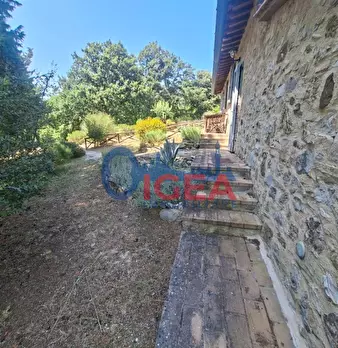 Foto annuncio 6