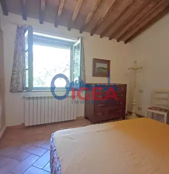 Foto annuncio 38