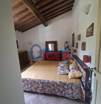 Foto annuncio 30