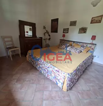 Foto annuncio 29