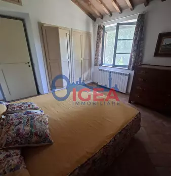 Foto annuncio 31