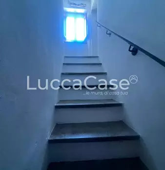 Foto annuncio 11