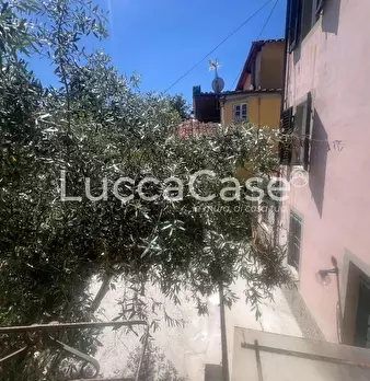 Foto annuncio 7