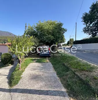 Foto annuncio 60