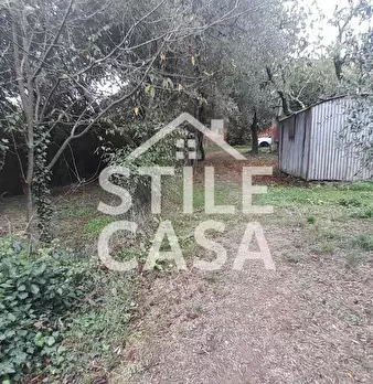 Foto annuncio 43