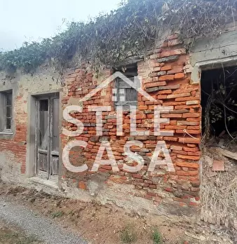 Foto annuncio 45