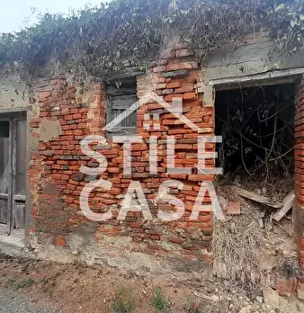 Foto annuncio 44