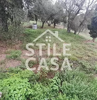 Foto annuncio 42