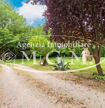 Foto annuncio 12