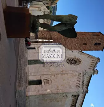 Foto annuncio 11